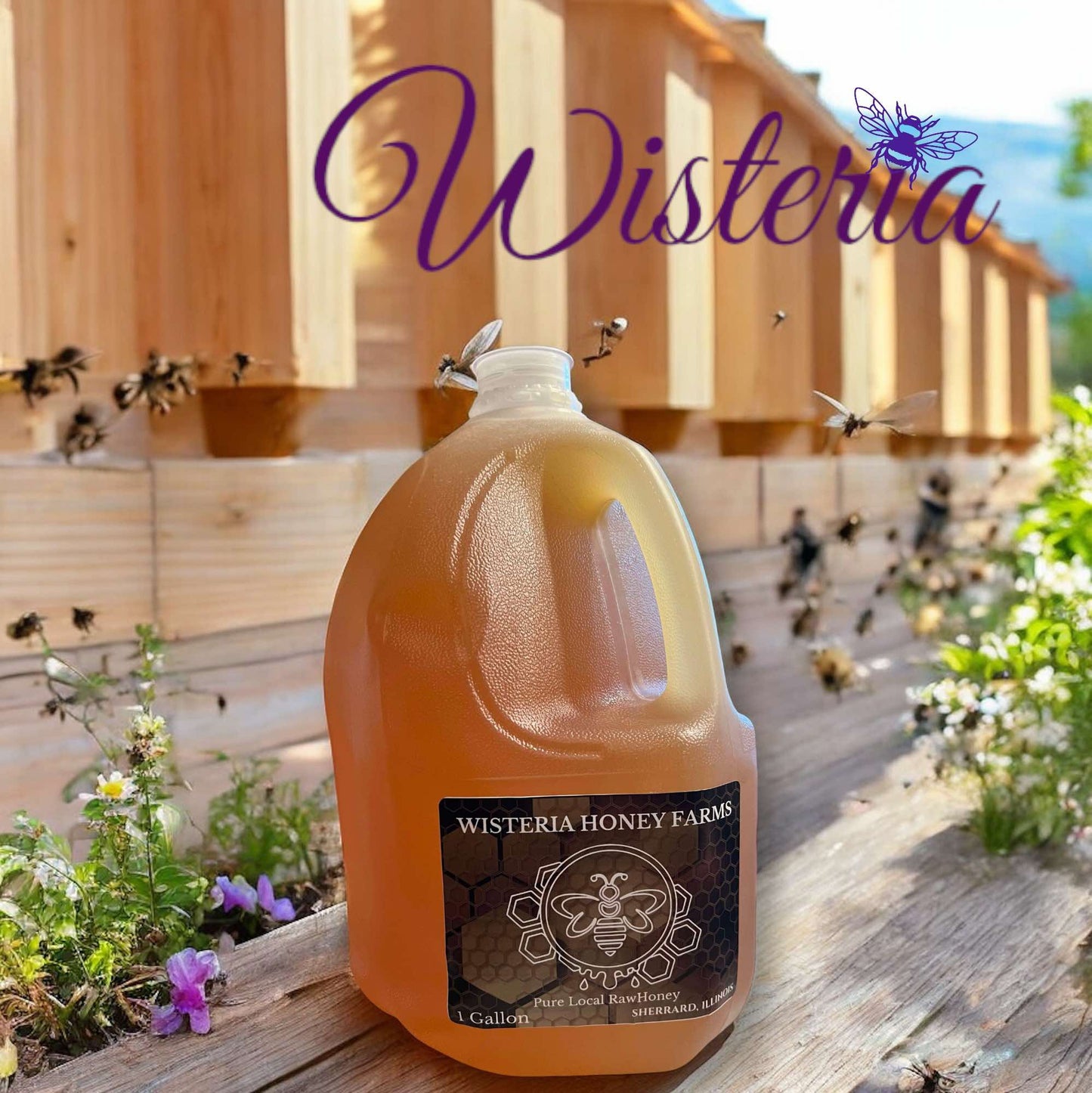 1- Gallon 100% Pure Raw Local Honey