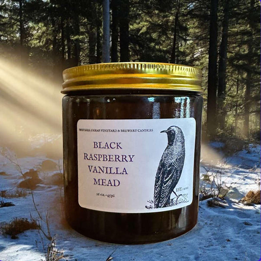 BLACK RASPBERRY VANILLA MEAD PERFUMED CANDLE